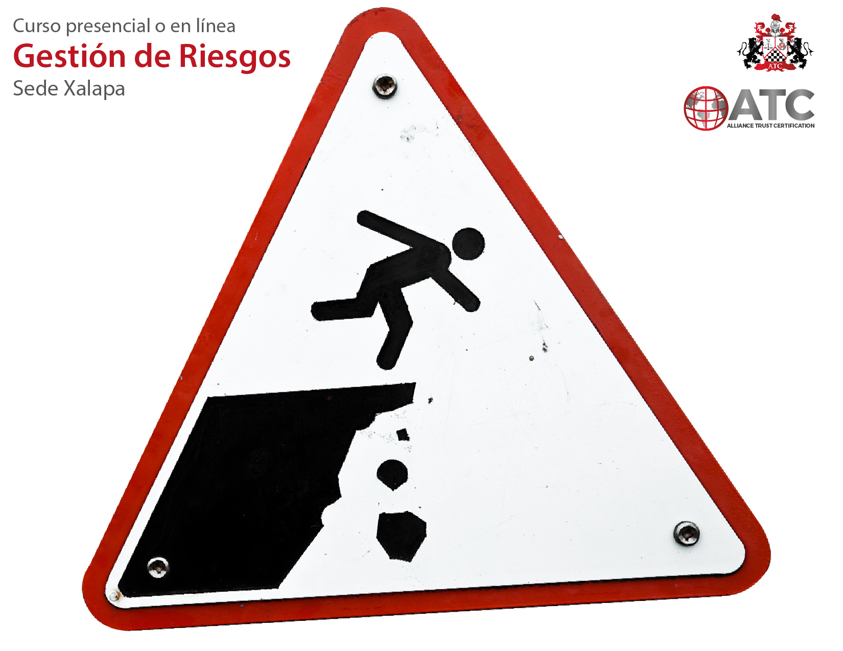 Curso de Gestión de Riesgos en línea