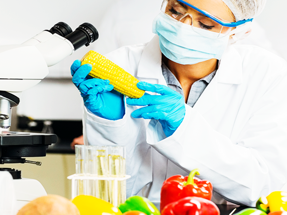 Curso ISO 22000 Inocuidad de Alimentos